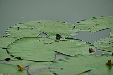 从《星星是冰冷的玩具》走进俄罗斯科幻的狂想世界